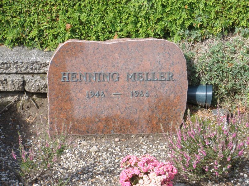 Henning Meller.JPG